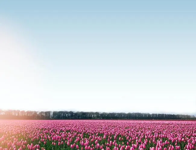 La Chatelaine Apartament Egmond aan Zee